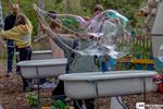 Week van het Bos in Nationaal Park Bosland