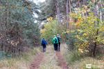 Herfstige Hoeverbergentocht Milieu 2000