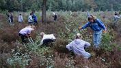 Leerlingen Pieter Brueghelschool beheren de heide