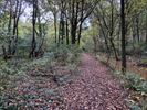 't Plat toont zich van zijn mooiste herfstzijde