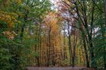 Prachtig herfstweer
