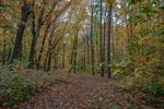 Prachtig herfstweer