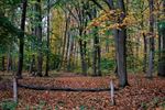 Prachtig herfstweer