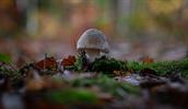 Prachtig herfstweer
