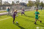 Leerlingen Helix beleefden de dag van hun leven
