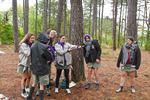 Meer dan 500 scouts voor Limburgse Gouw Trophy