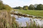 Week van het Veen en unieke Veendag