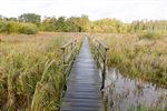 Week van het Veen en unieke Veendag