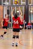 Volley: liefhebbers dames verliezen van Bree
