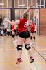 Volley: liefhebbers dames verliezen van Bree