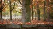 Herfst, door de lens van Leon