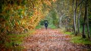 Herfst, door de lens van Leon