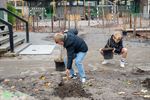 XCL Eigenwijs-leerlingen planten zelf aan