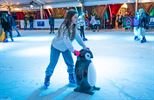 Be-MINE on-ICE feestelijk geopend