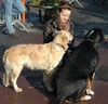 Veel belangstelling voor dierenzegening