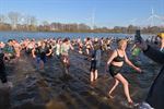 Record aantal ijsberen aan Paalse Plas