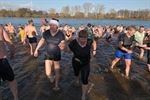 Record aantal ijsberen aan Paalse Plas