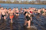 Record aantal ijsberen aan Paalse Plas