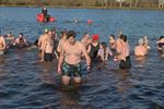 Record aantal ijsberen aan Paalse Plas