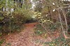 Bomen gekapt voor verkaveling