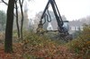 Bomen gekapt voor verkaveling