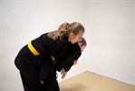 Internationaal Aikido seminarie