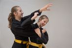 Internationaal Aikido seminarie