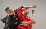 Internationaal Aikido seminarie