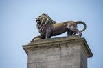 Aangepast tarief losse standplaatsen markten