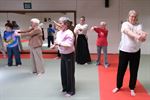 Senioren op de mat voor Aikido