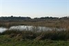 Genieten van al het moois in het Hageven
