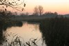 Genieten van al het moois in het Hageven