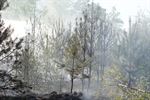 Grote brand op militair domein