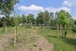 Opening groene speelplaats De Step