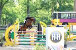 Jumping Kempische Regionale