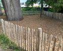 Extra verzorging voor kastanjeboom