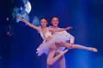Magisch ‘YOUniverse’ betovert Dommelhof