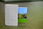 Krachtige expo 'Land van het toekomstig verleden'
