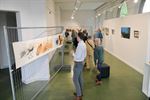 Krachtige expo 'Land van het toekomstig verleden'