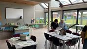 Kunst van Jan Vriens brengt 5.545 euro op