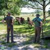Exmoorpony’s aangekomen in Hageven-Plateaux