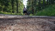 1.197 finishers trotseerden de tropische hitte