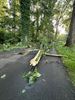 Schade door onweer
