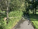 Schade door onweer