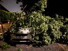 Schade door onweer