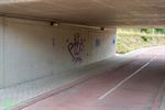 Fietstunnel Meeuwen krijgt kleurrijke make-over