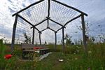 Geboortebomenproject voor nieuwe generaties