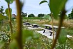Geboortebomenproject voor nieuwe generaties