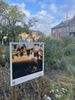 Beringen in woord en beeld