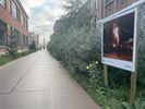 Beringen in woord en beeld